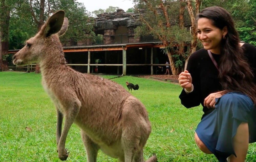 qué hacer en Australia chica morena arrodillada con un canguro al lado. Ella lleva camiseta negra y falda de color azul. Está en el césped